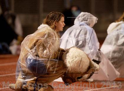 Thumbnail 2 in Marin Catholic vs. El Cerrito (CIF NCS D3 Final) photogallery.