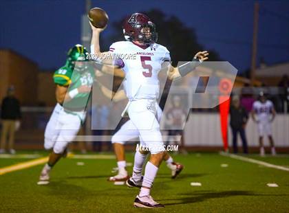 Thumbnail 1 in Abernathy @ Idalou photogallery.
