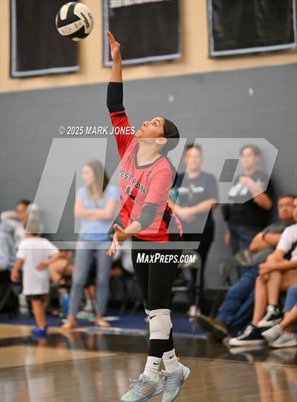 Thumbnail 2 in West Point vs. Prescott (Wolves Classic Volleyball Tournament) photogallery.