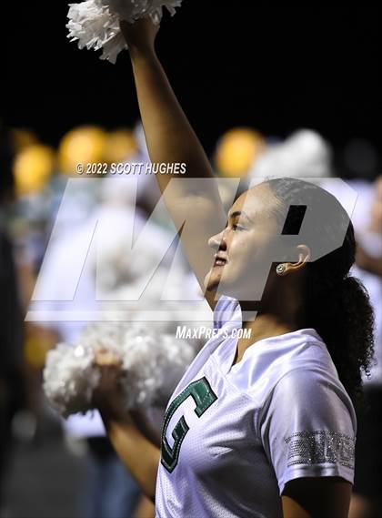 Thumbnail 3 in Mount Juliet @ Gallatin photogallery.