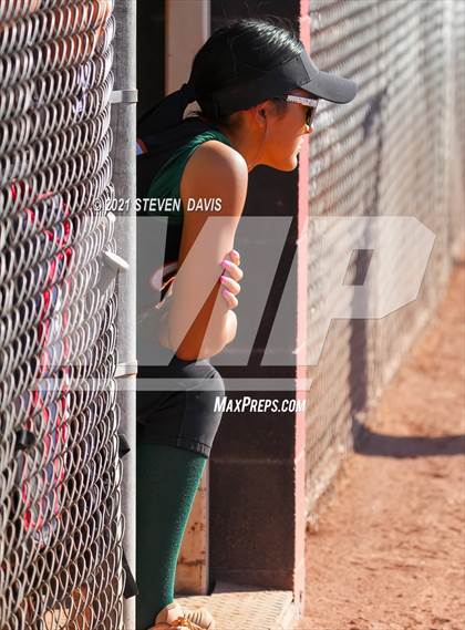 Thumbnail 3 in Campo Verde @ Williams Field photogallery.