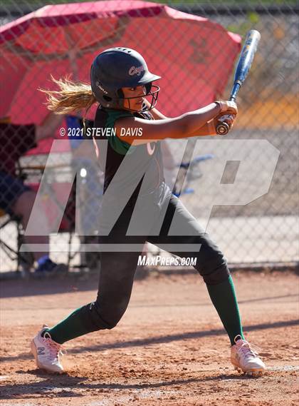 Thumbnail 2 in Campo Verde @ Williams Field photogallery.