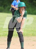 Photo from the gallery "Weaver @ Bloomfield"