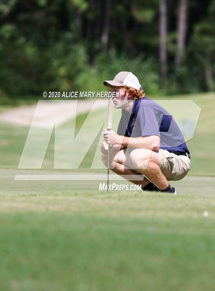 Thumbnail 3 in Weeki Wachee @ Springstead photogallery.