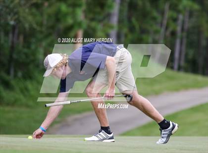 Thumbnail 2 in Weeki Wachee @ Springstead photogallery.