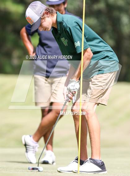 Thumbnail 2 in Weeki Wachee @ Springstead photogallery.