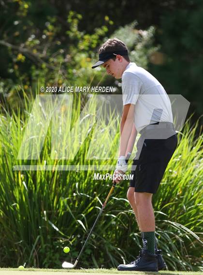 Thumbnail 1 in Weeki Wachee @ Springstead photogallery.