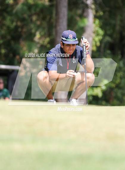 Thumbnail 3 in Weeki Wachee @ Springstead photogallery.