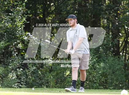 Thumbnail 3 in Weeki Wachee @ Springstead photogallery.