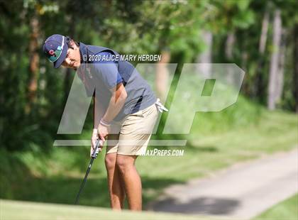 Thumbnail 2 in Weeki Wachee @ Springstead photogallery.