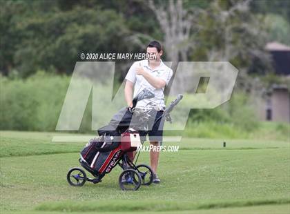 Thumbnail 1 in Weeki Wachee @ Springstead photogallery.