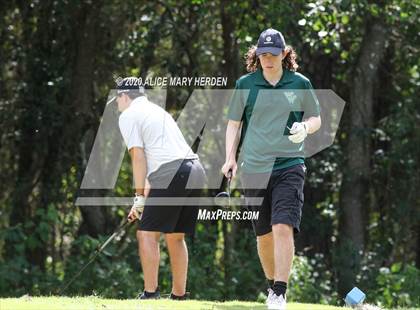 Thumbnail 2 in Weeki Wachee @ Springstead photogallery.