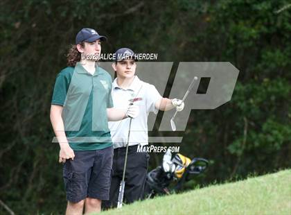 Thumbnail 2 in Weeki Wachee @ Springstead photogallery.