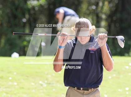 Thumbnail 2 in Weeki Wachee @ Springstead photogallery.