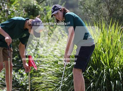 Thumbnail 2 in Weeki Wachee @ Springstead photogallery.