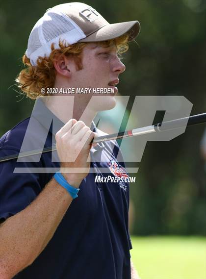 Thumbnail 2 in Weeki Wachee @ Springstead photogallery.
