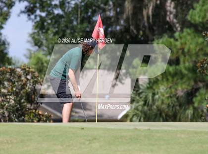 Thumbnail 1 in Weeki Wachee @ Springstead photogallery.