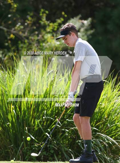 Thumbnail 2 in Weeki Wachee @ Springstead photogallery.
