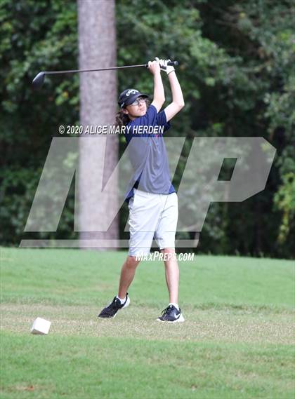Thumbnail 1 in Weeki Wachee @ Springstead photogallery.