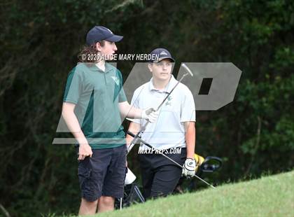 Thumbnail 1 in Weeki Wachee @ Springstead photogallery.