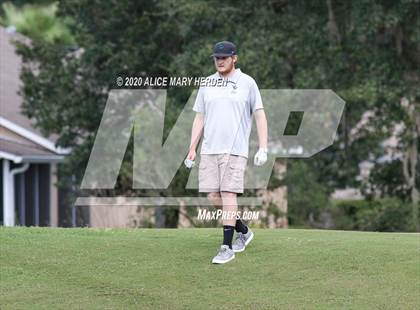 Thumbnail 3 in Weeki Wachee @ Springstead photogallery.