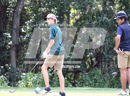 Thumbnail 1 in Weeki Wachee @ Springstead photogallery.