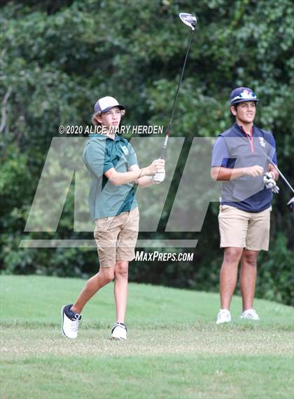 Thumbnail 1 in Weeki Wachee @ Springstead photogallery.