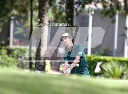 Thumbnail 2 in Weeki Wachee @ Springstead photogallery.