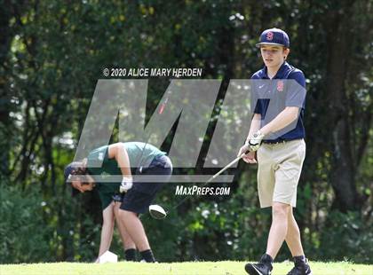 Thumbnail 3 in Weeki Wachee @ Springstead photogallery.