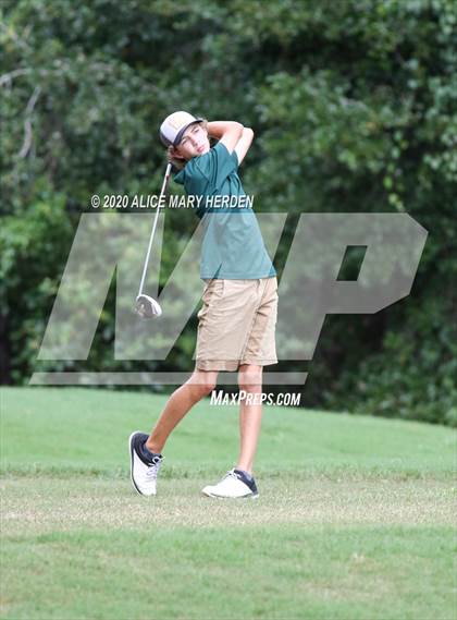 Thumbnail 2 in Weeki Wachee @ Springstead photogallery.