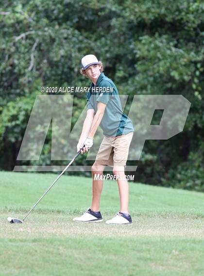 Thumbnail 3 in Weeki Wachee @ Springstead photogallery.