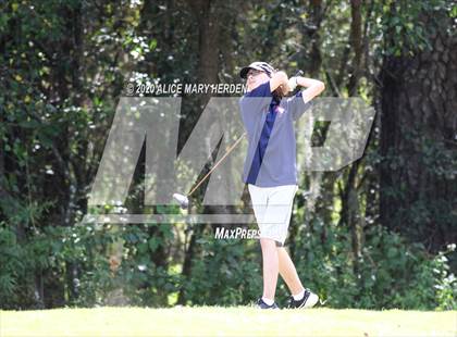 Thumbnail 1 in Weeki Wachee @ Springstead photogallery.
