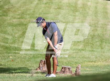 Thumbnail 3 in Weeki Wachee @ Springstead photogallery.