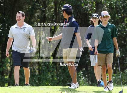 Thumbnail 3 in Weeki Wachee @ Springstead photogallery.