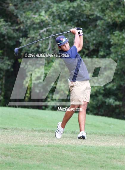Thumbnail 2 in Weeki Wachee @ Springstead photogallery.