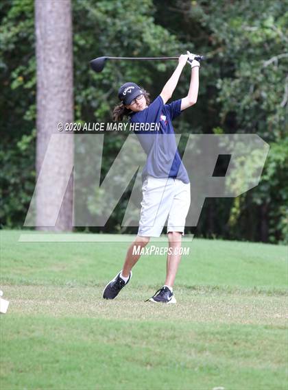 Thumbnail 3 in Weeki Wachee @ Springstead photogallery.