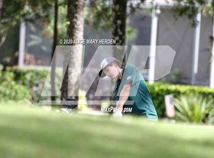 Thumbnail 1 in Weeki Wachee @ Springstead photogallery.