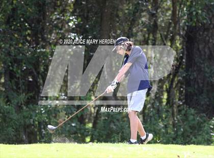 Thumbnail 3 in Weeki Wachee @ Springstead photogallery.