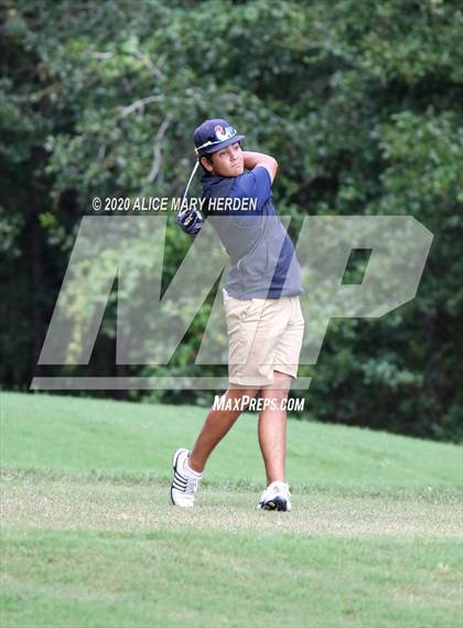Thumbnail 3 in Weeki Wachee @ Springstead photogallery.