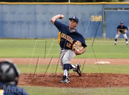 Thumbnail 1 in Lehi vs. Anaheim photogallery.