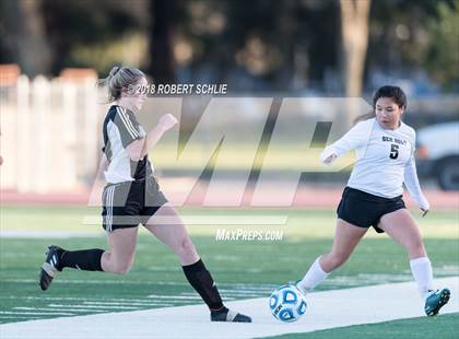 Thumbnail 3 in Golden Sierra vs. Ben Holt College Prep Academy (CIF SJS D7 Final) photogallery.