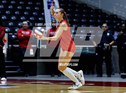 Thumbnail 1 in Pearland Dawson vs. Northwest Nelson (UIL Volleyball 6A D1 Final) photogallery.
