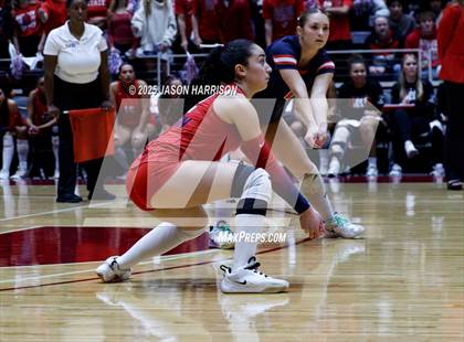 Thumbnail 1 in Pearland Dawson vs. Northwest Nelson (UIL Volleyball 6A D1 Final) photogallery.