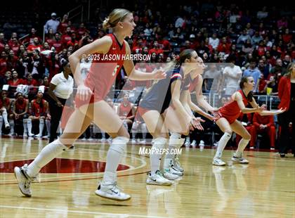 Thumbnail 1 in Pearland Dawson vs. Northwest Nelson (UIL 6A D1 Volleyball Final) photogallery.