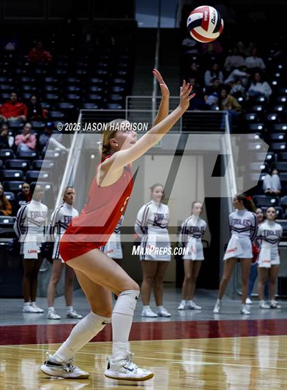 Thumbnail 1 in Pearland Dawson vs. Northwest Nelson (UIL 6A D1 Volleyball Final) photogallery.