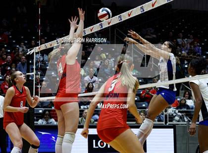 Thumbnail 2 in Pearland Dawson vs. Northwest Nelson (UIL Volleyball 6A D1 Final) photogallery.
