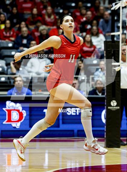 Thumbnail 3 in Pearland Dawson vs. Northwest Nelson (UIL Volleyball 6A D1 Final) photogallery.