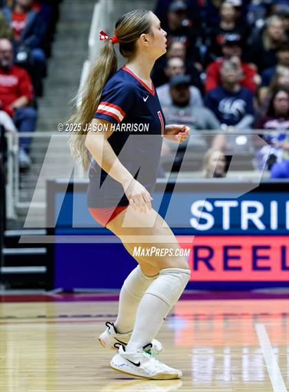 Thumbnail 2 in Pearland Dawson vs. Northwest Nelson (UIL 6A D1 Volleyball Final) photogallery.