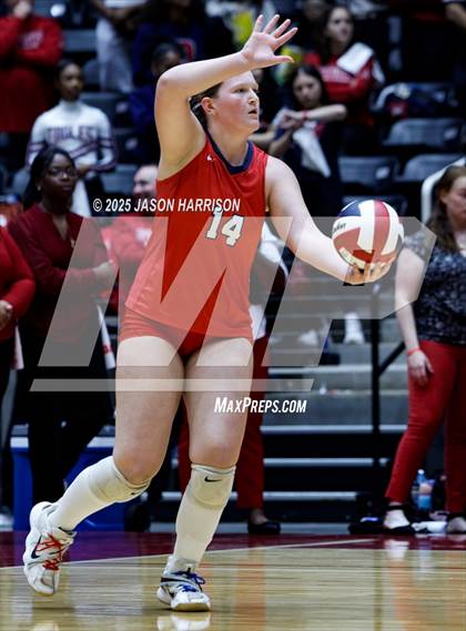 Thumbnail 2 in Pearland Dawson vs. Northwest Nelson (UIL Volleyball 6A D1 Final) photogallery.