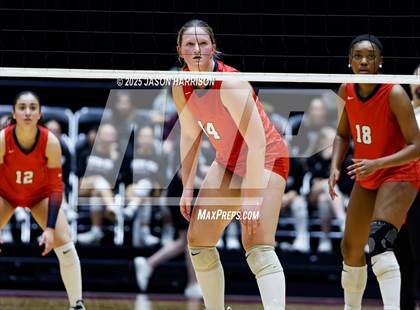 Thumbnail 2 in Pearland Dawson vs. Northwest Nelson (UIL Volleyball 6A D1 Final) photogallery.